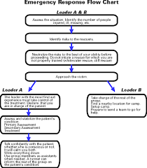 Emergency Flow Chart Sample Bedowntowndaytona Com