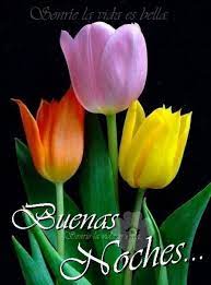 Sign In Postales De Buenas Noches Buenas Noches Imagenes De Feliz Noche