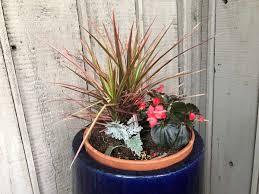 Also known as creeping myrtle or. Flower Pot Ideas From A Master Gardener With Deer Resistant Flowers Marie Bostwick