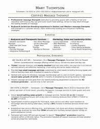 Spa Client Intake Form Template Best Of Business Ans Mobile Massage Therapy An Sample Phys Massage Therapist Business Plan Template Free Business Plan Template