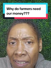 Tim Fielder Experience