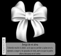 Fotos De Monos Para Difuntos Tarjetas De Condolencias Mensajes De Condolencias Imagenes De Condolencias