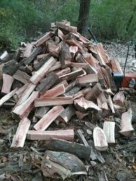 Once introduced to an area, black locust expands readily into areas where their shade reduces competition. Starburst Thornless Honey Locust Hearth Com Forums Home