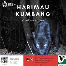 Doktor veterinar ertinya seseorang yang didaftarkan di. Jabatan Perhilitan On Twitter Kenali Spesies Hidupan Liar Harimau Kumbang Boleh Ditemui Di Afrika Timur Dan Asia Selatan Sehingga China Semenanjung Malaysia Dan Indonesia Di Malaysia Spesies Ini Adalah Dilindungi Sepenuhnya Di