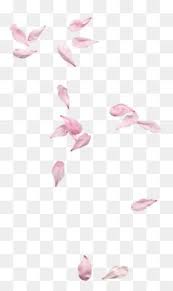 Cor De Rosa Sakura Blossoms Art Clip Art Pictures Love Background Images
