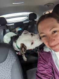 Unruly pet and On the road again little timelapse video of process