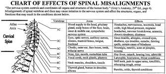 questions and answers about chiropractic the bottom line