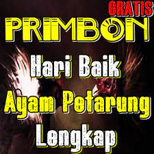 1 wage hitam, galih, hitam galih. Hari Adu Ayam Paling Baik Menurut Primbon Lengkap Android Icin Apk Indir