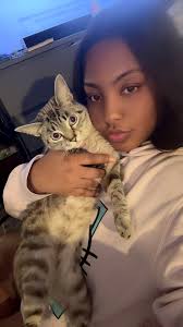 Anyone know if a great, reliable pet insurance company to go through?