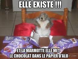 Et La Marmotte Elle A Mit Le Chocolat Dans Le Papier D Alu Photos De Milka Avec La Marmotte