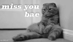 Share the best gifs now >>>. Missing Bae Gifs Tenor