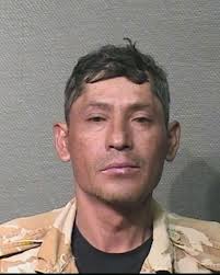 Gallery: HPD arrests for felony DWI in April