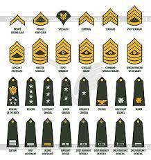 Military enlistment / american armed services. Usa Army Enlisted Ranks Chevrons With Insignia Vector Image