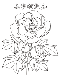 無料の印刷用ぬりえページ ベスト 塗り絵 無料 花 塗り絵 無料 花 塗り絵 塗り絵 無料