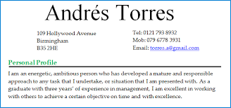 Best Cv Personal Profile Examples Cv Plaza