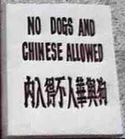 Image result for no dogs allowed sign charlie brown