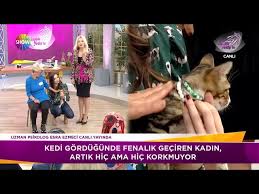 Kedi Korkusu Yenme