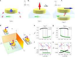 Get a domain and have someone host a page. Spin Orbit Torque Switching In A T Type Magnetic Configuration With Current Orthogonal To Easy Axes Nature Communications
