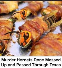 Pictures that are public domain are especially no problem. Don T Like It Wrap It In Bacon Meme