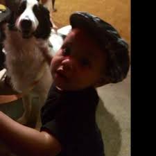 Pet Friendly Places in Charlotte, North Carolina accepting Dogs, Cats and  other Pets