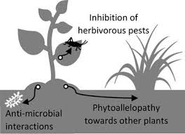 Insect pest management for organic crops. Review Allelochemicals As Multi Kingdom Plant Defence Compounds Towards An Integrated Approach Pest Management Science X Mol