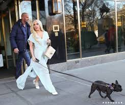 Lady gaga's beloved french bulldogs, koji and gustav have been returned. Lady Gaga Took Her French Bulldog For A Walk In Nyc On Saturday The Weekend S Must See Snaps Popsugar Celebrity Photo 13