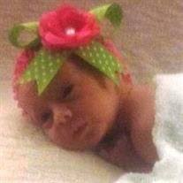 Lily Anne Kitchens Obituary