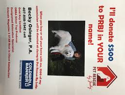 You can get full information on our pets through our website, www.petrescuebyjudy.com. Welcome To Pet Rescue By Judy