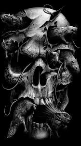 Black Skulls Skull Wallpaper Skull Skull Art