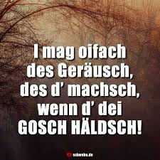 Pin Von Laula Rosenberger Auf Spruche U Zitate U Gedanken Schwabische Spruche Lustig Bayrische Spruche