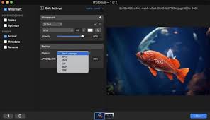 How To Edit Jpg And Png Files On Mac Photobulk Jpg Jpeg Png Imageediting Photoediting Howto Png Editor Png Image Editing