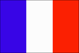 ãƒ•ãƒ©ãƒ³ã‚¹ã¨ã¯ä½• Weblioè¾žæ›¸