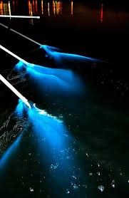 Bioluminescent Beach Puerto Rico Fajardo 5 Unique Puerto Rico Day Trips This Darling World Bioluminescent Bay Bioluminescent Bay Puerto Rico Puerto Rico