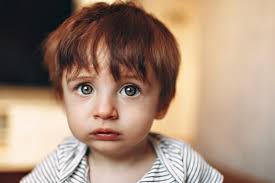 Exercitationem incidunt doloremque molestias.