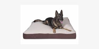 They are calm, caring dogs that are popular with families. Nest Bedding Luxury Corduroy Pet Bed Old German Shepherd Dog 480x323 Png Download Pngkit