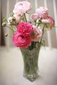 Ten types of cut flowers. 44 Best Cut Flowers For Cutting Garden Types Of Cut Flowers Balcony Garden Web