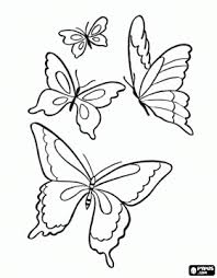 All butterfly coloring pages are newly compiled, collected and designed by us. Mariposas P Colorear Butterfly Coloring Page Butterfly Printable Butterfly Drawing