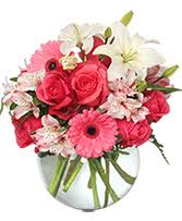 Las fiestas son normalmente de la misma manera, ellos cargan tarifas adicionales por el día y a veces los días antes de las fiestas. En Espanol Tampa S Florist Inc Tampa Fl