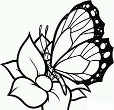 25 Amazing Photo Of Butterflies Coloring Pages Davemelillo Com Butterfly Coloring Page Flower Coloring Pages Printable Flower Coloring Pages