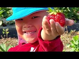 Thelmathecookingmama