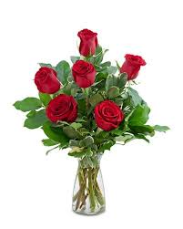 We did not find results for: Jersey City Brennans Flower Shop New Jersey Flowers Jersey City New Jersey Florist Send Flowers Online
