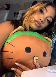 Frank Ocean Blonde, Hello Kitty Plüschtier, Künstler Stofftier