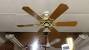 Ceiling Fan 6 Blades