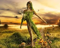 Do you know how long it took me to make those buttercups? Our Food Industry In 8 Words We Think We Can Do Better Than Nature Nature Wallpaper Mother Nature Photo Manipulation