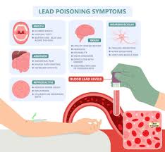 Image result for Lead Poisoning