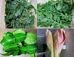 Berikut ini adalah cara menanam daun kari. Tips Mudah Simpan Sayur Daun Buah Untuk Kekal Segar Boleh Terus Guna Untuk Masak