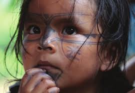 Amazon In Focus FALL 2012