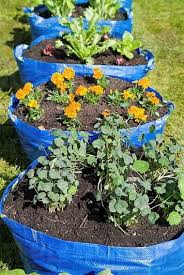 Garden Vegetable Planters Planting Herbs Veg Garden