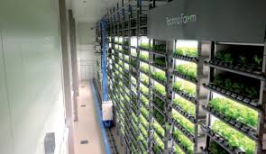 If north korea has it, . Vertical Farms Building A Viable Indoor Farming Model For Cities
