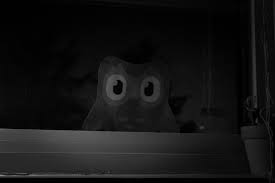 My Duo: the Duolingo Owl Horror Story